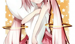 动漫喵,动漫喵的奇幻冒险之旅